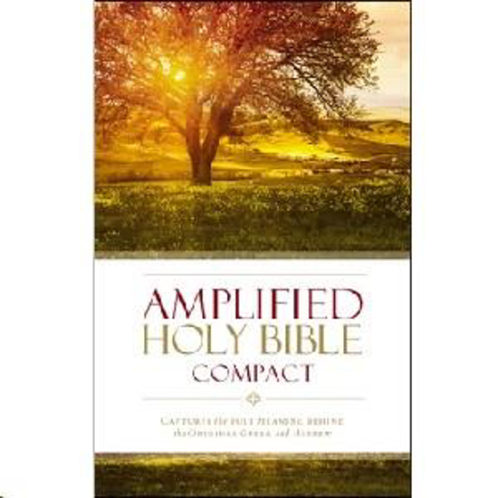 Picture of AMPLIFIED COMPACT BIBLE HB
