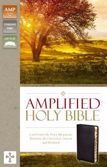 Picture of AMPLIFIED BIBLE BLACK LEATHER T.I.