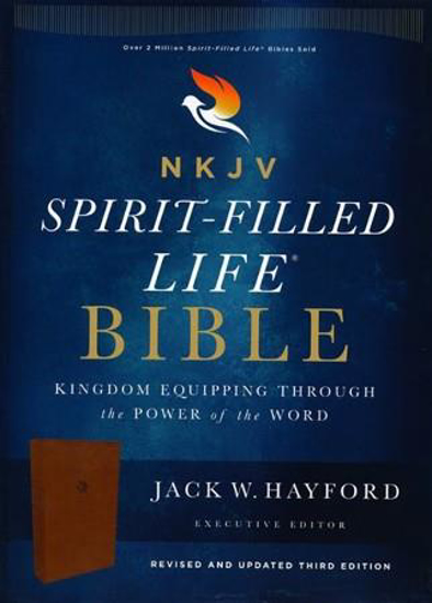 Picture of NKJV SPIRIT-FILLED BIBLE BROWN LTHSOFT