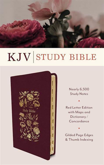Picture of KJV BURGUNDY LEATHERSOFT STUDY BIBLE INDEXED