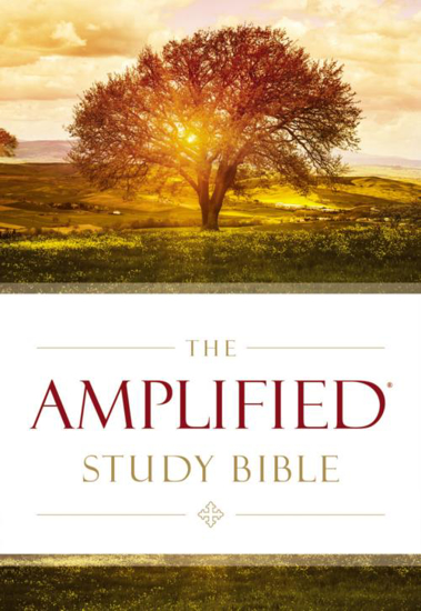 Picture of THE AMPLIFIED STUDY BIBLE HARDBACK